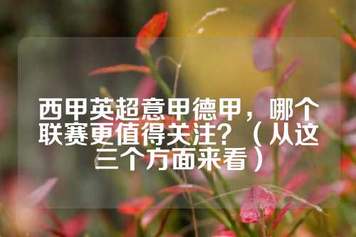 维尼修斯逐