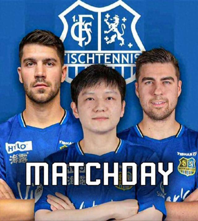 强大的韧性 强大的韧性